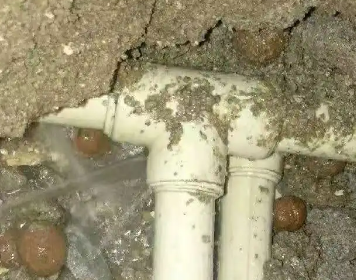 开封市测漏水多少钱