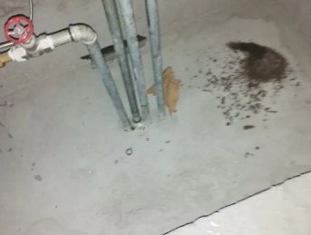 开封市卫生间测漏水价格明细